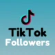 tiktok-followers